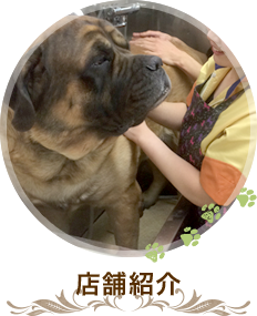 店舗紹介