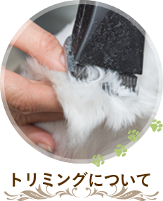 トリミングについて