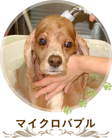マイクロバブル