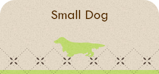 Small Dog