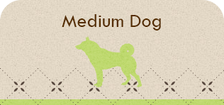 Medium Dog
