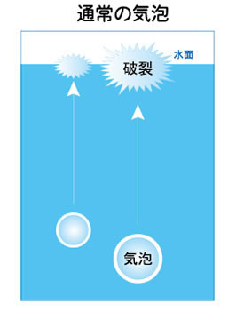 泡浮遊の画像