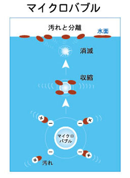 マイクロバブル(20μm(0.泡浮遊の画像