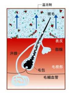bubble_img008