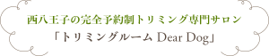 h2_img
