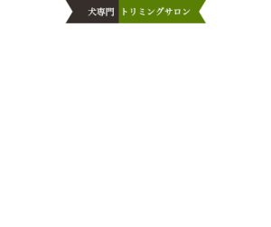 main_copy001