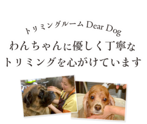 main_copy002