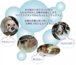 original3_img002