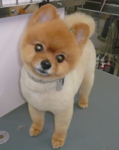 small_img026